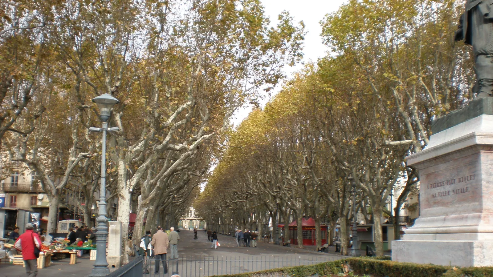 Les allées Paul Riquet, au cœur de Béziers